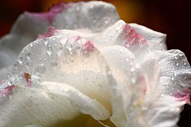 《方舟：生存飞升》Xbox Series X对比PC版视频